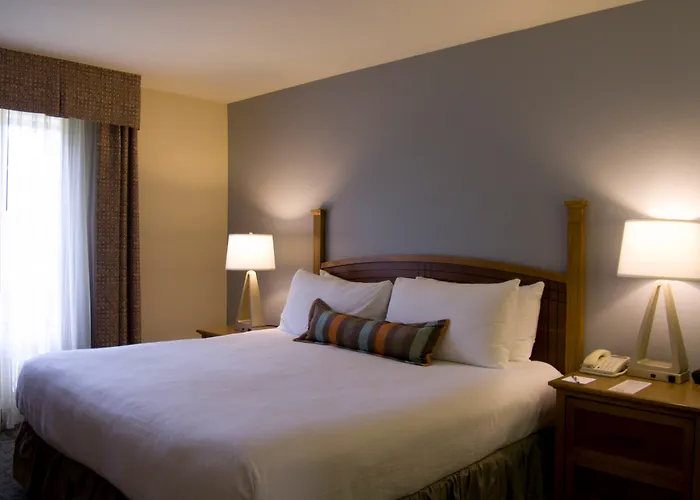 Staybridge Suites Houston West - Energy Corridor By Ihg